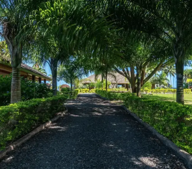 Drive way