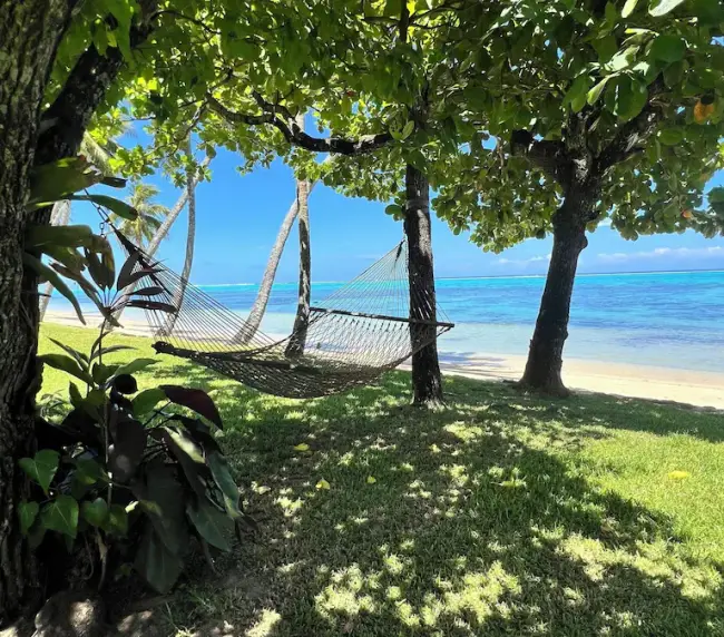 Beach Hammock